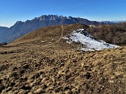 31 Purtroppo i prati sono stati 'arati' alla grande dai cinghiali